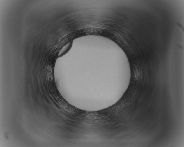 X0000100850964200807181052