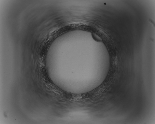 X0000100850965200807181052