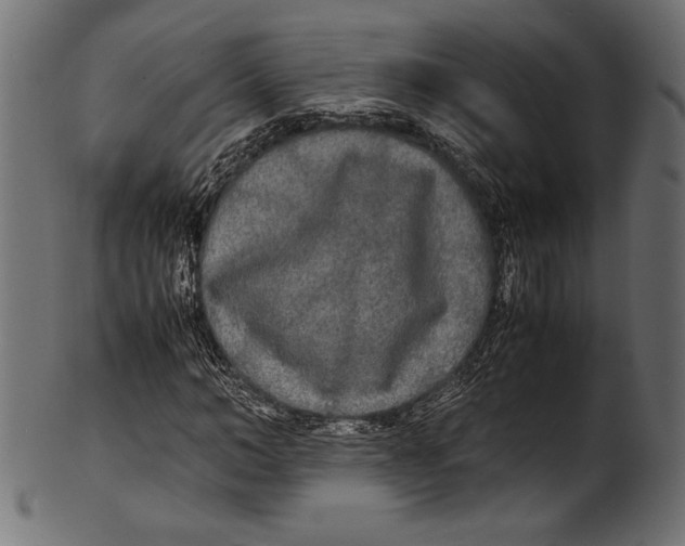 X0000100850966200807181052