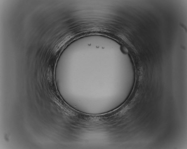 X0000100850969200807181052