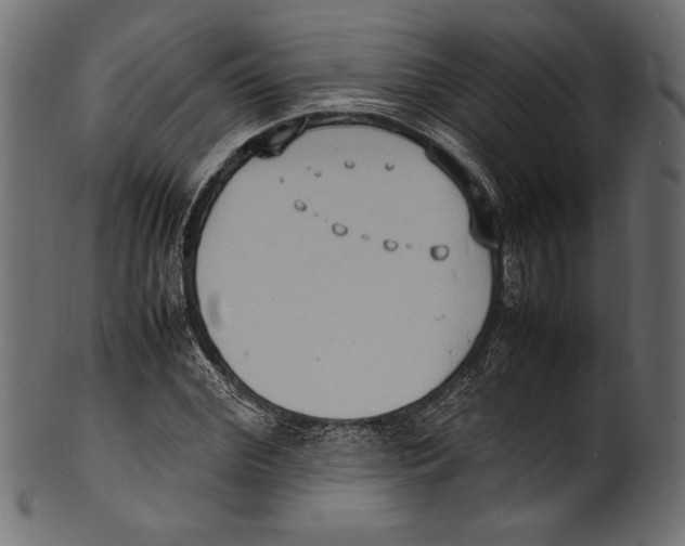 X0000100850972200807181052