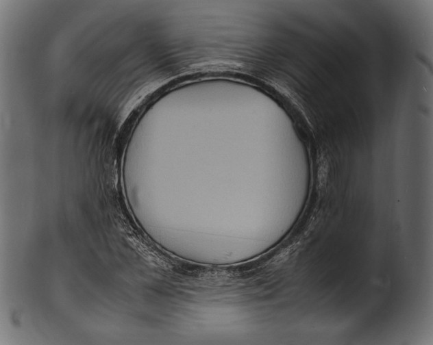 X0000100850973200807181052