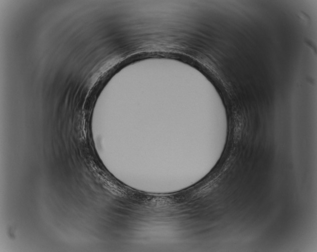 X0000100850974200807181052