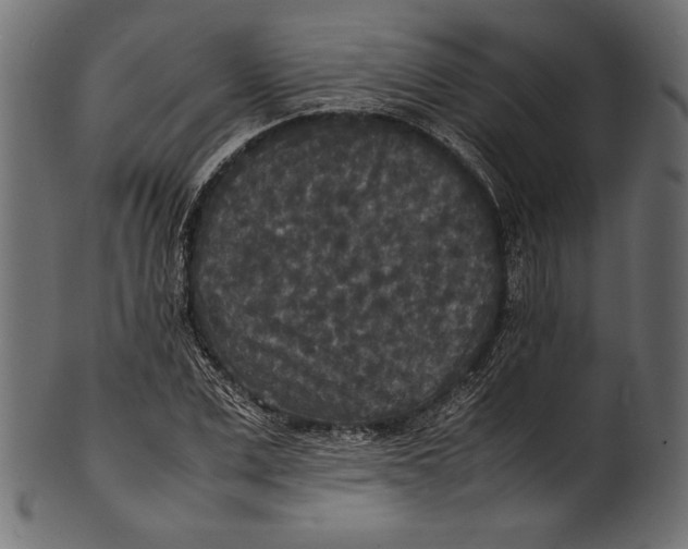 X0000100850975200807181052