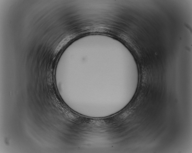 X0000100850978200807181052