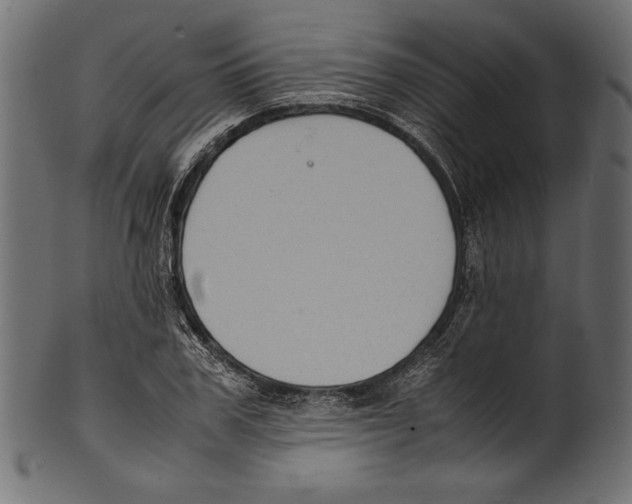 X0000100850979200807181052