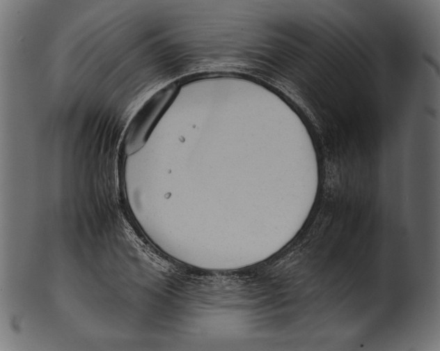 X0000100850980200807181052