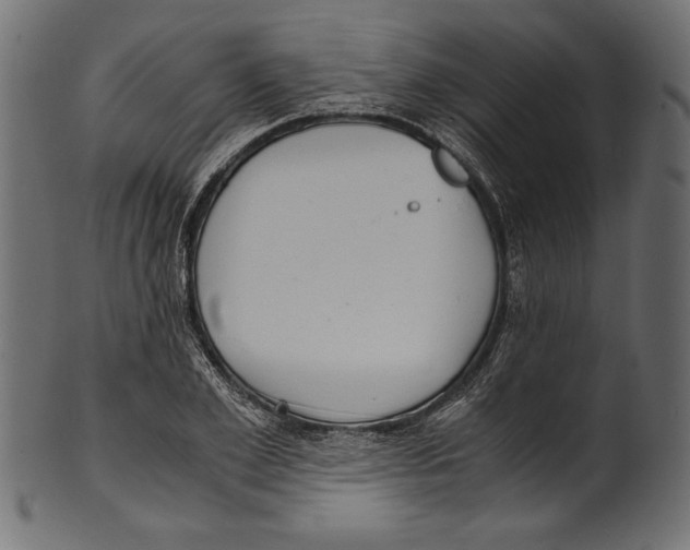 X0000100850981200807181052