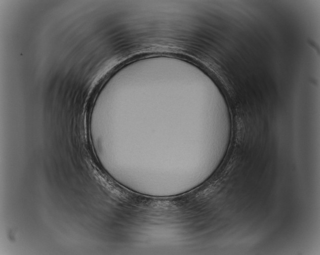 X0000100850982200807181052