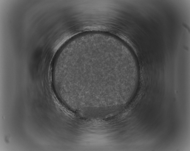 X0000100850983200807181052