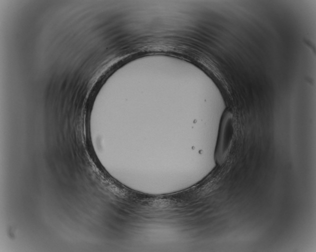 X0000100850984200807181052