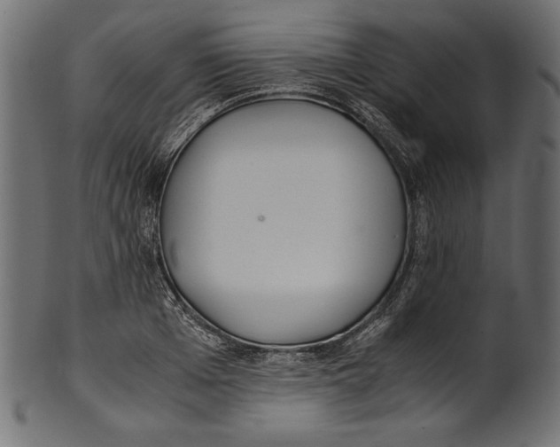 X0000100850985200807181052
