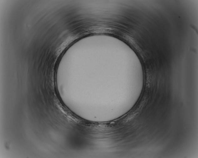 X0000100850986200807181052