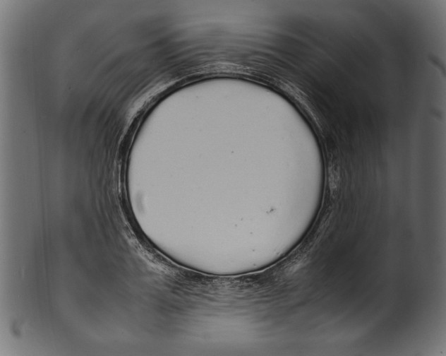 X0000100850987200807181052