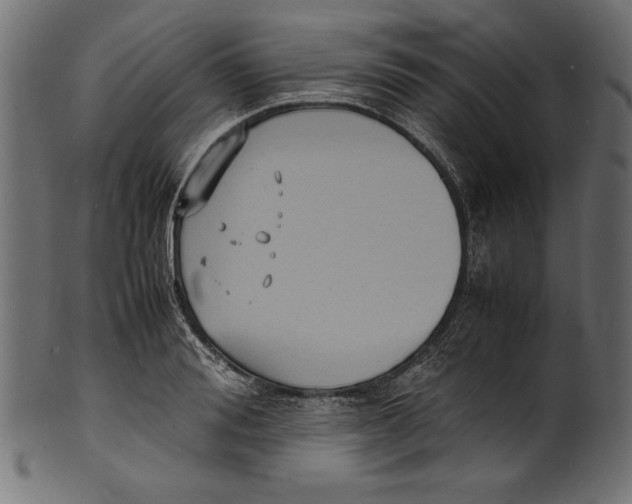 X0000100850988200807181052