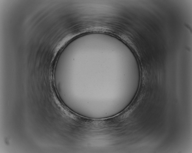 X0000100850989200807181052