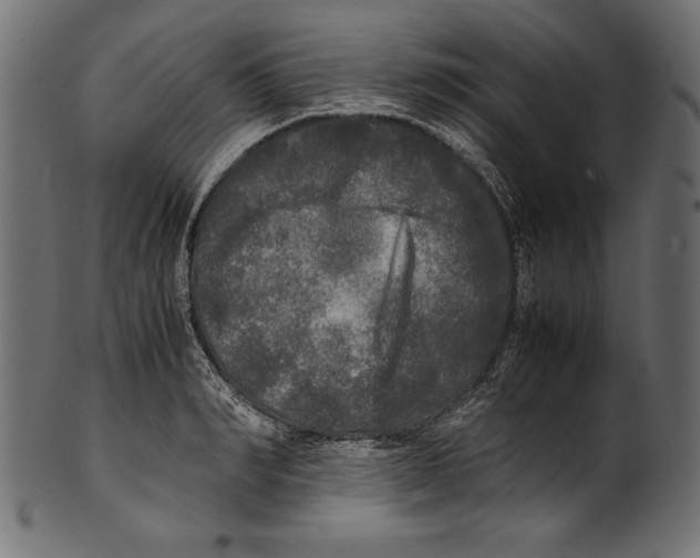 X0000100850990200807181052
