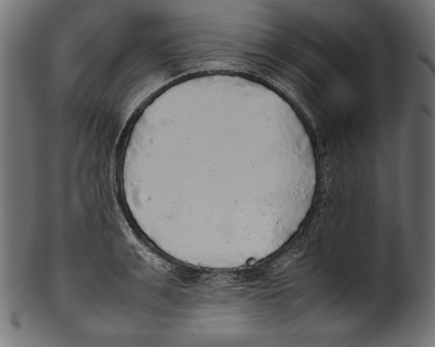 X0000100850991200807181052
