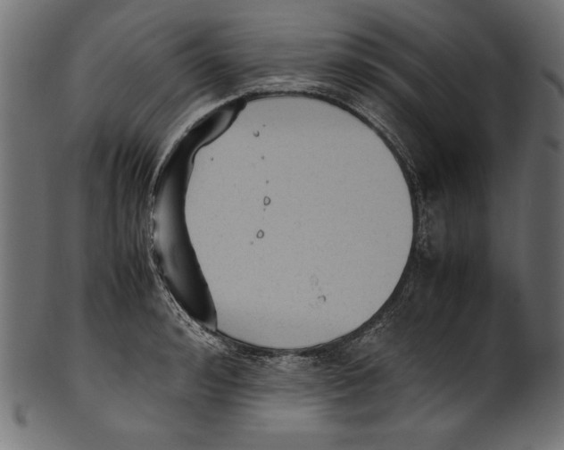 X0000100850992200807181052