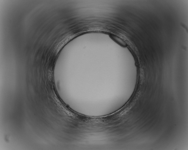 X0000100850993200807181052