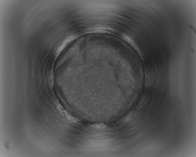 X0000100850994200807181052