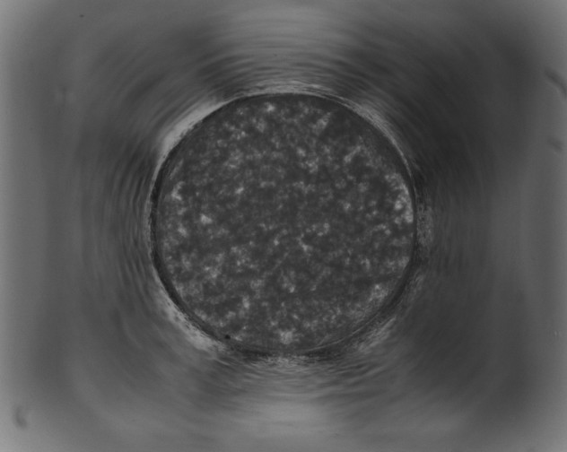 X0000100850995200807181052