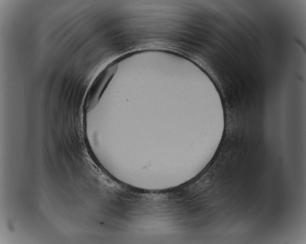 X0000100850996200807181052