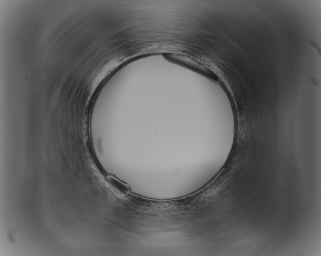 X0000100850997200807181052