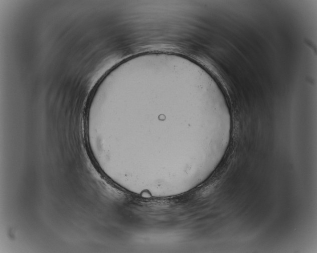 X0000100850999200807181052