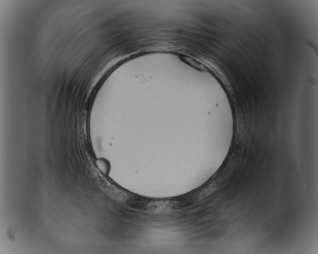 X0000100851000200807181052