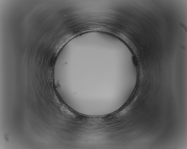 X0000100851001200807181052