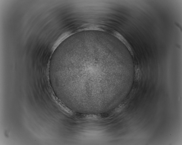 X0000100851002200807181052