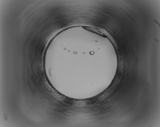 X0000100851004200807181052