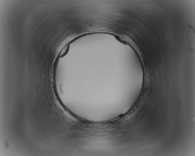 X0000100851005200807181052