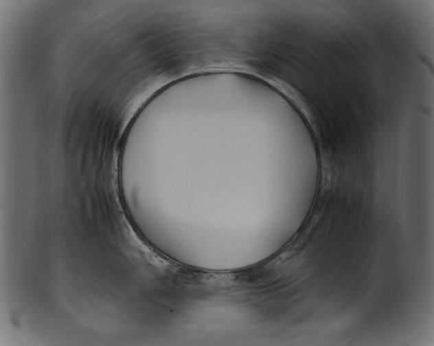 X0000100851006200807181052