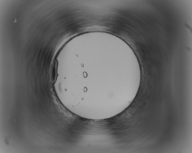 X0000100851008200807181052