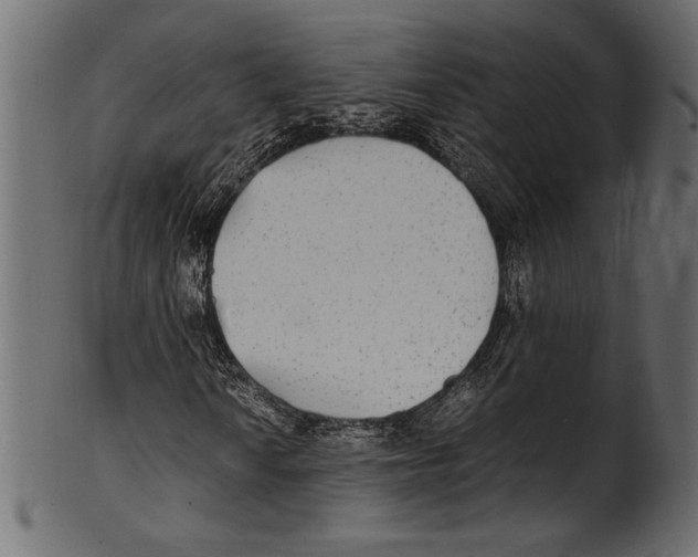 X0000100851010200807181051