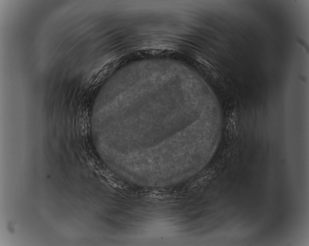 X0000100851014200807181051