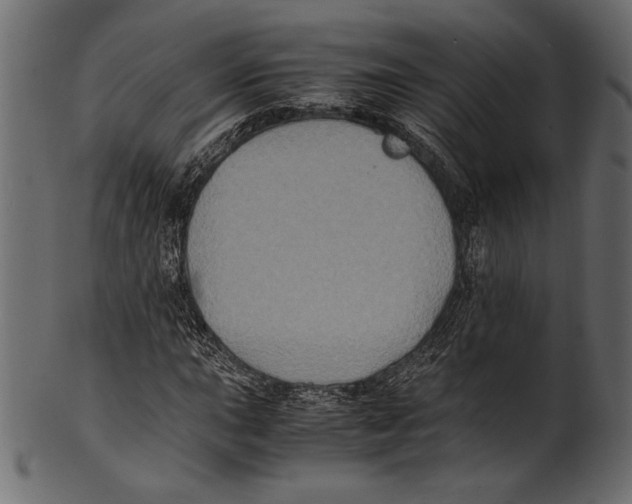 X0000100851015200807181051