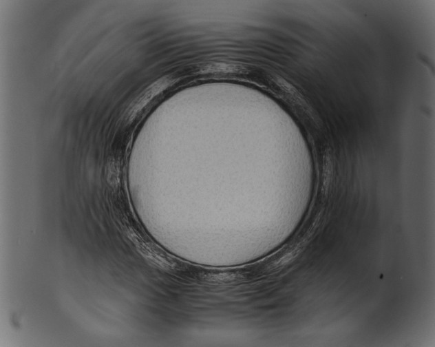 X0000100851017200807181051