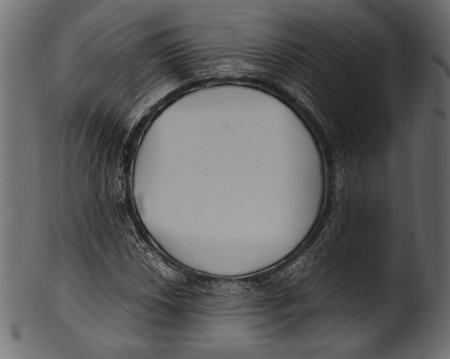 X0000100851018200807181051