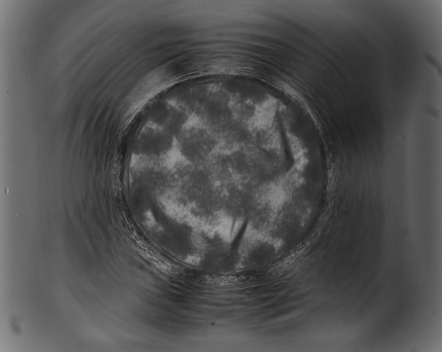 X0000100851019200807181051