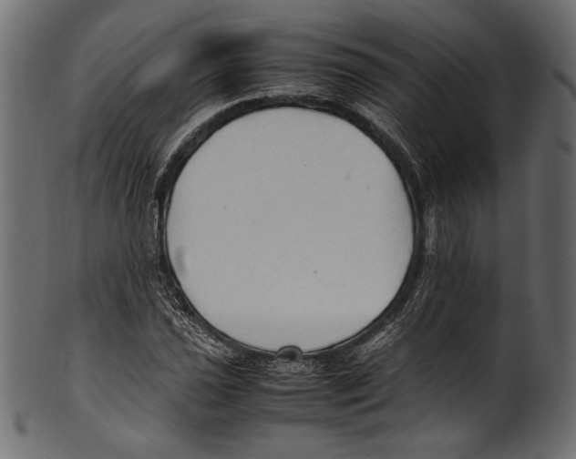 X0000100851021200807181051