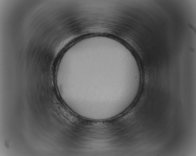 X0000100851022200807181051