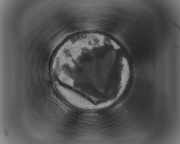 X0000100851023200807181051
