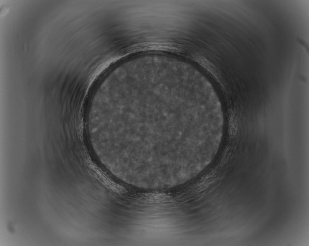 X0000100851024200807181051