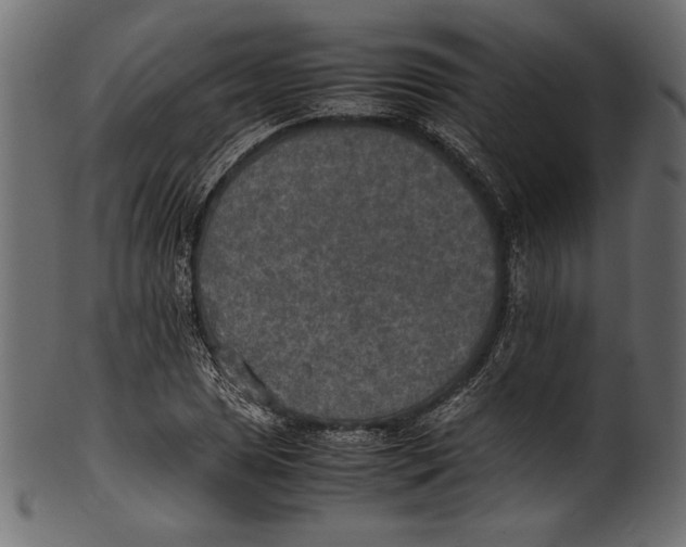 X0000100851025200807181051