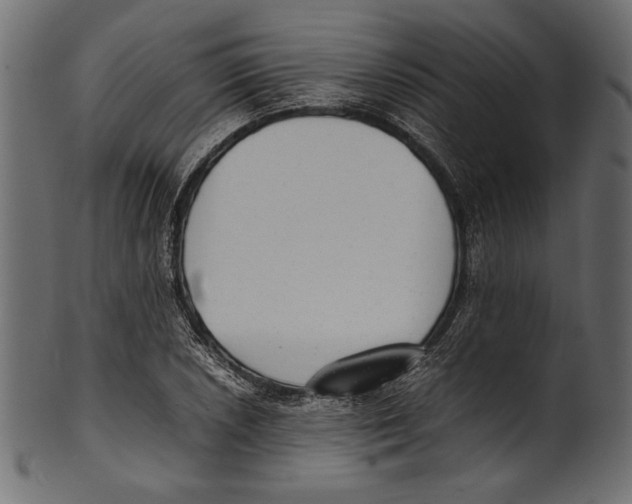 X0000100851026200807181051