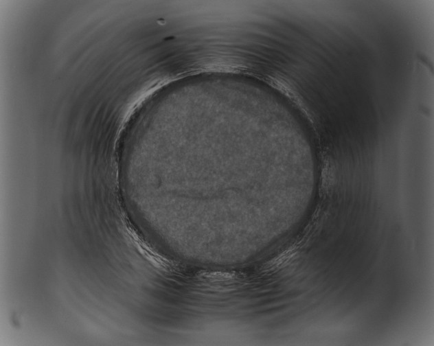 X0000100851027200807181051