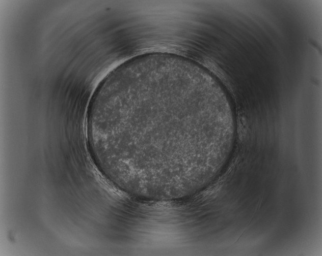 X0000100851028200807181051